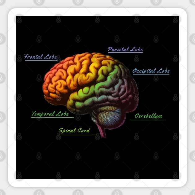 Anatomy Brain, leaves, positivity, creativity, right hemisphere brain, health, Mental, mind Magnet by Collagedream